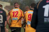 Hull v Bees