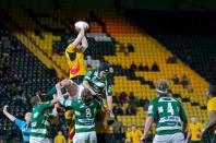 Nottingham v Bees