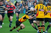 Worcester v Bees