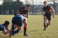 Bees v Dudley K