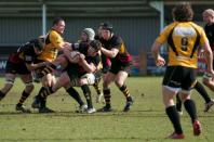 Bees v Esher (po)