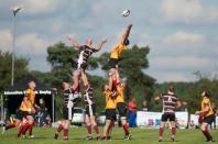 Sheffield Tigers v Bees