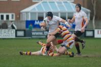 Fylde v Bees