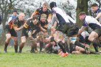 Bees v Leicester Lions