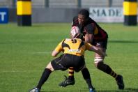 Bees v Esher