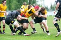 Esher v Bees (po)