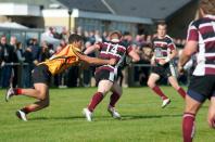 Sheffield Tigers v Bees
