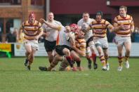Fylde v Bees