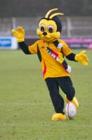 Bees v Ayr
