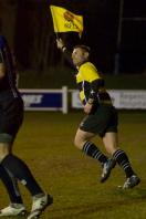 Macclesfield v Bees