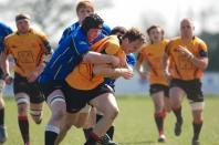 Bees v Otley