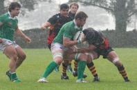 wharfedale v bees