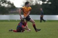 Bees v Westoe