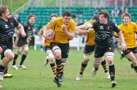 Esher v Bees (po)