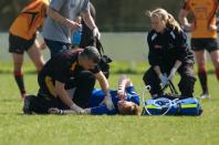 Bees v Otley