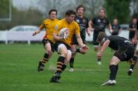 Esher v Bees (po)