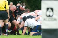 Bees v Dings Crusaders