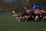 Moseley v Bees (po)