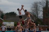 Fylde v Bees