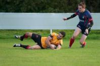 Bees v Westoe