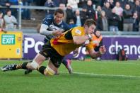 Bristol v Bees