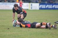 Cambridge v Bees