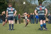 Bees v Dudley K