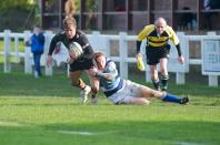 Tynedale v Bees