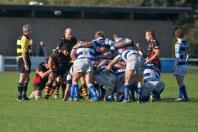 Tynedale v Bees