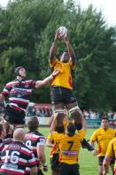 Cornish Pirates v Bees