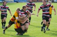 Cornish Pirates v Bees