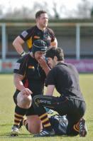 Bees v Esher (po)