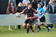 Bees v Hull