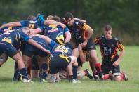 Bees v Old Centralians