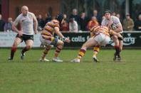 Fylde v Bees