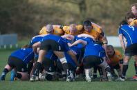 Bees v Otley