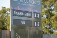 Bees v Esher