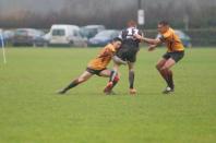Luctonians v Bees