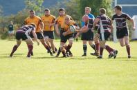 Sheffield Tigers v Bees
