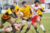 Plymouth v Bees