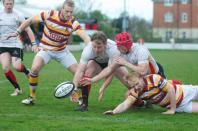 Fylde v Bees