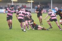 Bees v Ayr