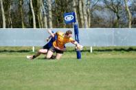 Bees v Otley