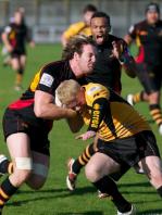 Bees v Esher