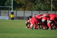 Bees v Cambridge