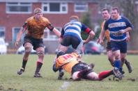 Darlington v Bees