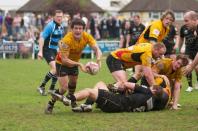 Esher v Bees (po)