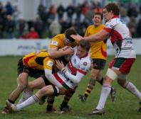 Plymouth v Bees