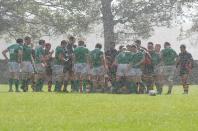 wharfedale v bees