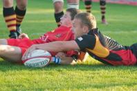 Bees v Cambridge